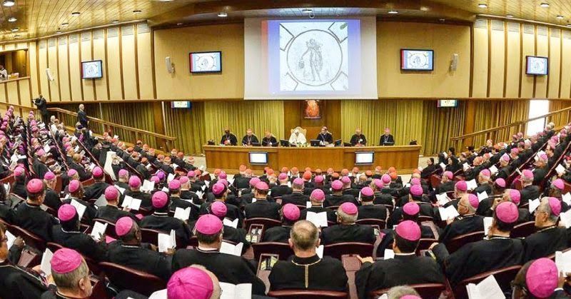 http://hrvatski-fokus.hr/wp-content/uploads/2015/10/pope-francis-bishops-synod.jpg